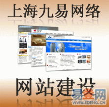 上海九易網(wǎng)絡科技 網(wǎng)絡技術(shù)開發(fā)的精品之選